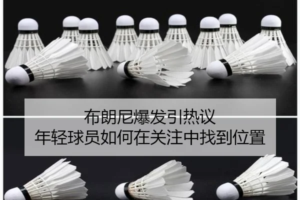bu-lang-ni-bao-fa-yin-re-yi-nian-qing-qiu-yuan-ru-he-zai-guan-zhu-zhong-zhao-dao-wei-zhi-2-676.jpg